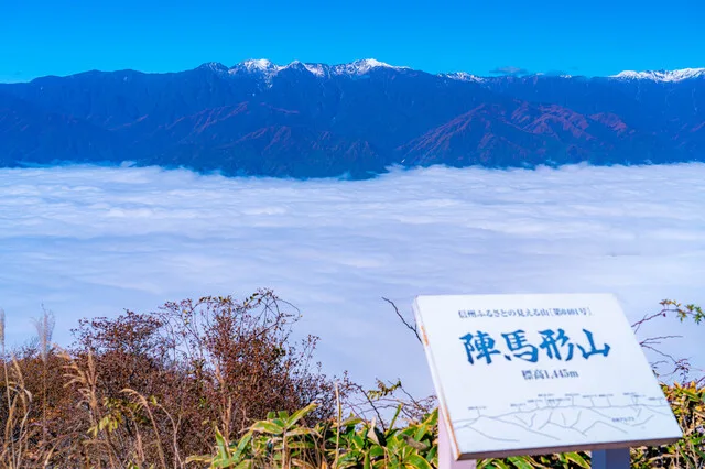 陣馬形山 雲海