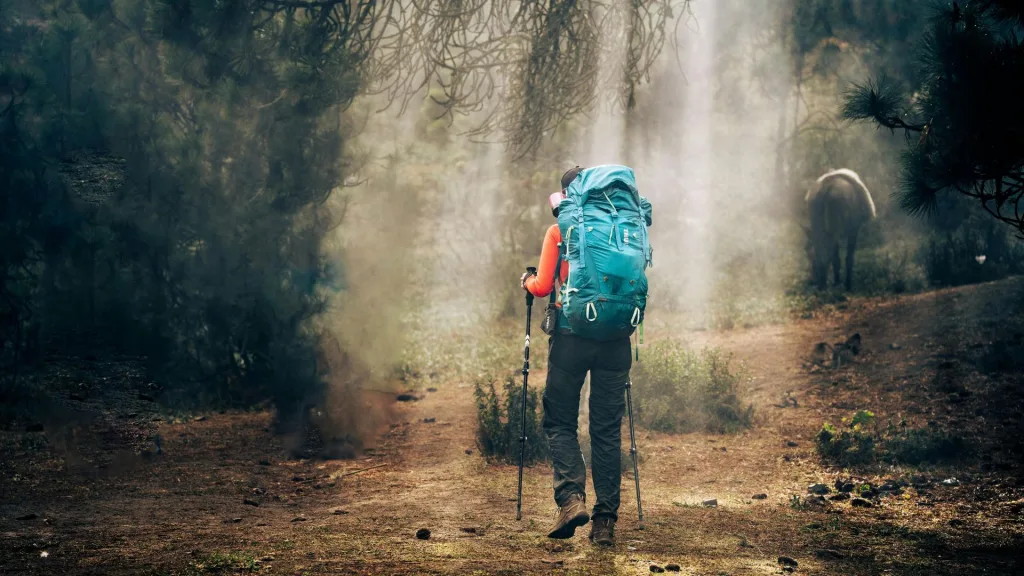 山道を歩む旅人